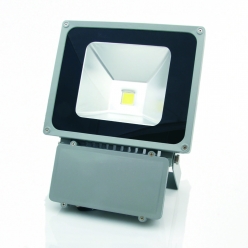 LED  100W   