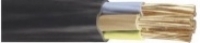 -       -   310.00