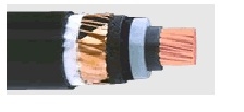     -  12/20 kV