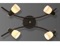 AURA - 79504892 BR